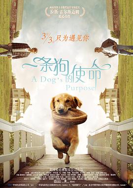 亚洲成人短视频