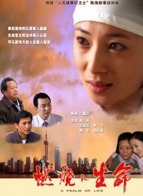 小骚菊
