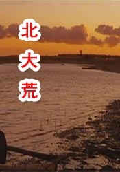 午夜dj视频观看在线剧情